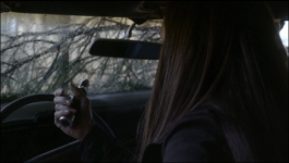 The Vampire Diaries - Season 01 Episode 17